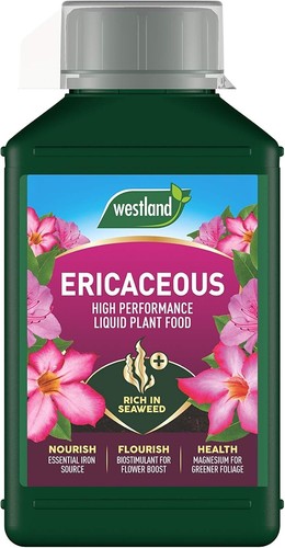 Westland ericaceous high - ericaceous,