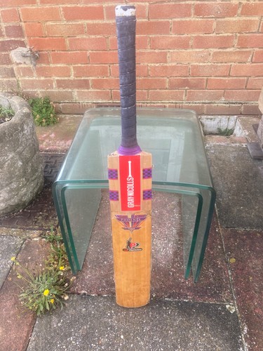 Gray nicolls phoenix titanium - gray,