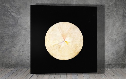 Hilma klint the swan 14 - hilma,