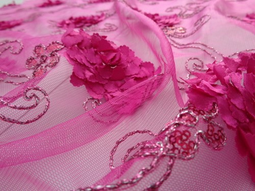 Embroidered french lace - embroidered,
