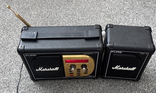 Pure evoke 1xt marshall - pure,