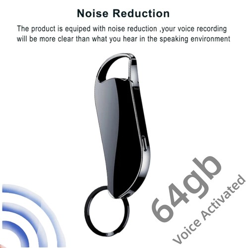 Voice activated mini audio - voice,