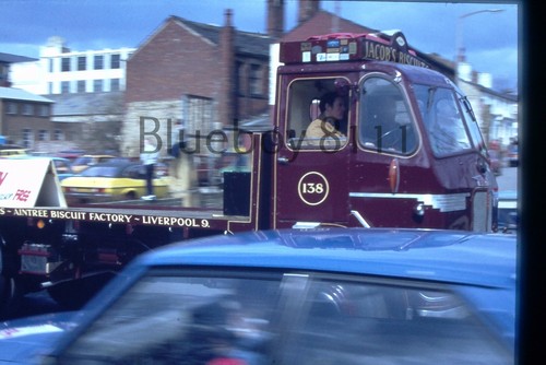 35mm slide leyland - 35mm, beaver