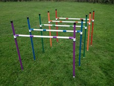 Dog Agility Large Basic 100cm