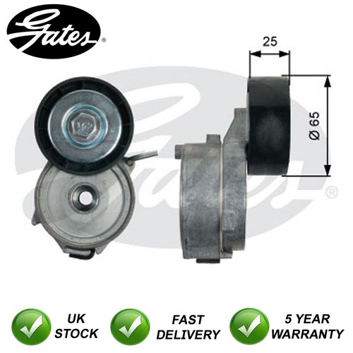 Tensioner pulley lower - tensioner,