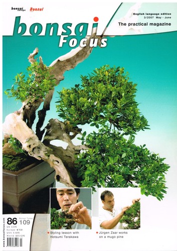 Bonsai focus 86 styling - bonsai, focus,