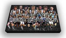 Newcastle Canvas Wall Art Room Decor Gift for Newcastle Fan Home Decor