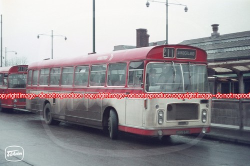 Bus photo united - -,