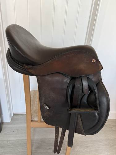 Saddle solutions treeless - solutions, gp