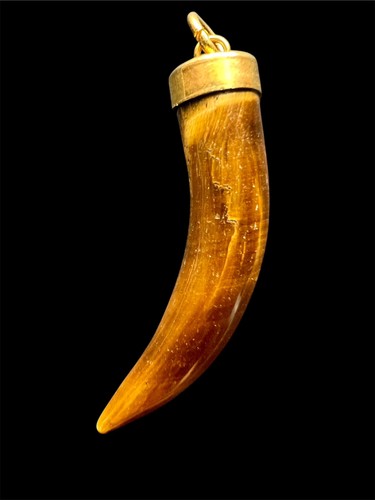 Tiger eye - eye, tiger’s