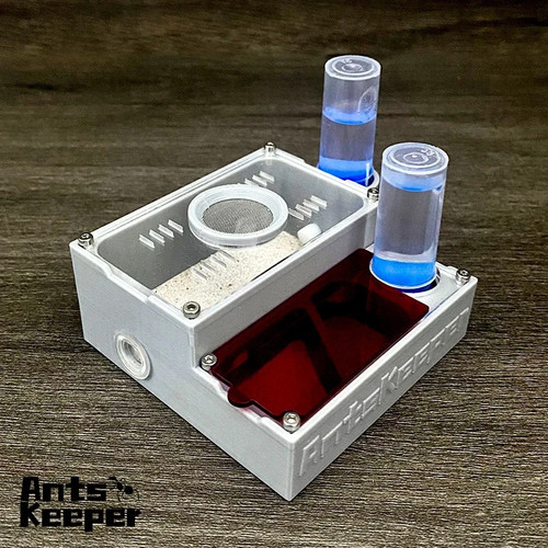 Ant farm flat independent - ant,