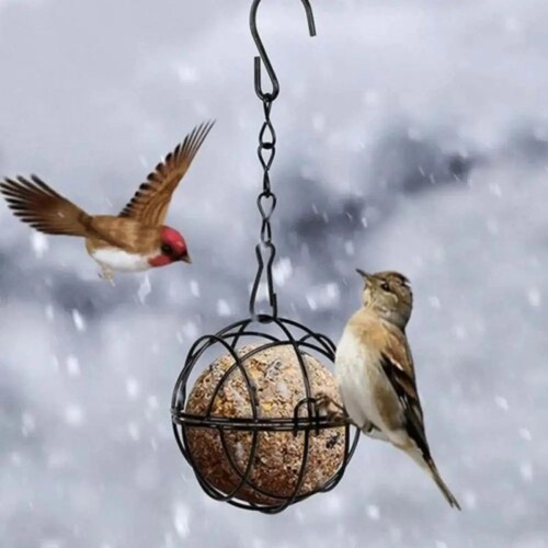 Metal suet fat ball bird - ball,