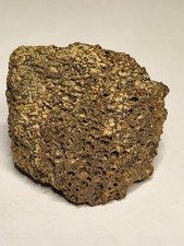 REAL Hadrosaur Dinosaur Fossil