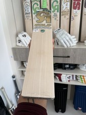 CA GOLD 15000 Plus Cricket