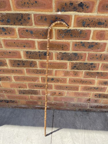 Antique teacher cane - antique, teacher’s