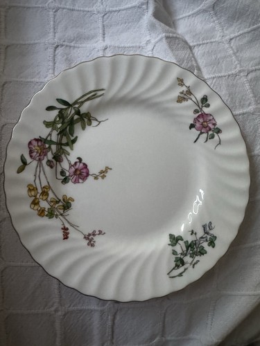 Minton dainty sprays inch - dainty,