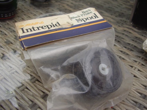 Intrepid boy black prince - intrepid,