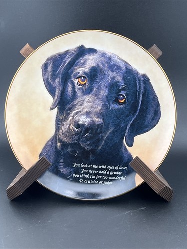 Danbury mint eyes of - danbury,