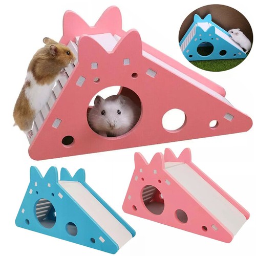 Pet hamster hideout - hamster, house