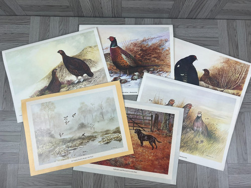 Bundle prints by shooting - of,