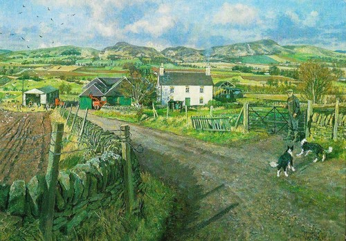 Postcard james mcintosh - postcard,