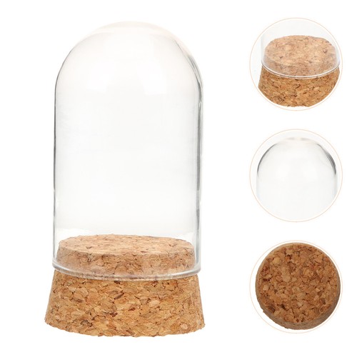 Reusable glass display dome - reusable,