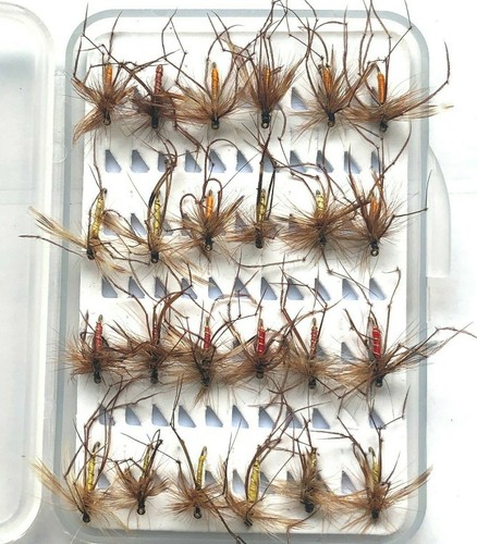 Assorted selection trout carp - assorted,