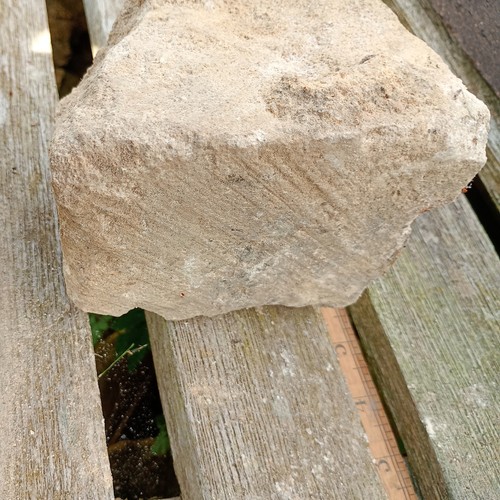 Medieval carved stone fragment - carved,