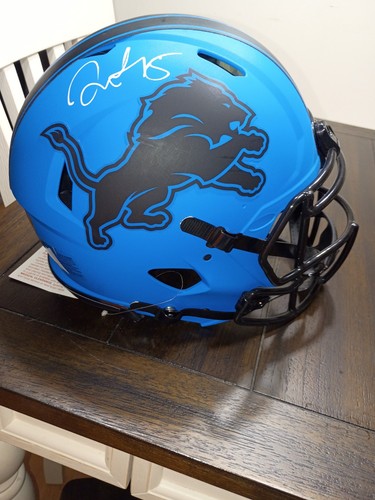 David montgomery detroit lions - david,