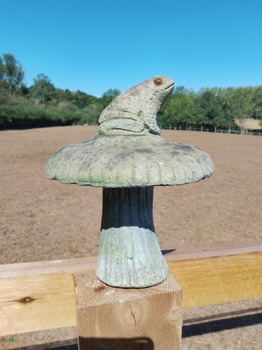 Old weathered cast stone frog - old,