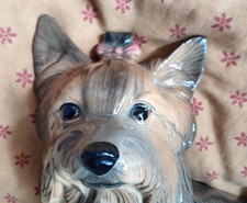 Hull pottery large Yorkshire terrier 1970s fireside dog needs new home please!