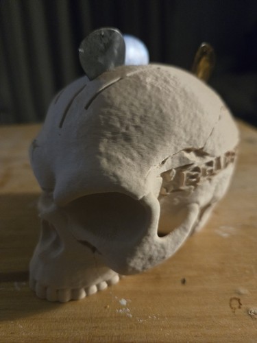 Skull guitar pick holder - guitar,