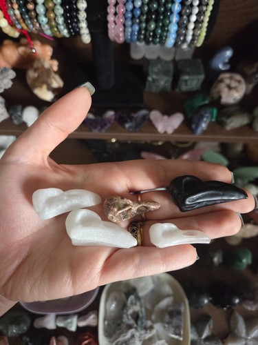 Bird crow skulls - bird, crystal