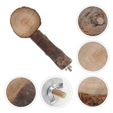  Parrot Stands Indoor Tree