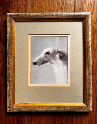 Borzoi dog print - borzoi, wooden