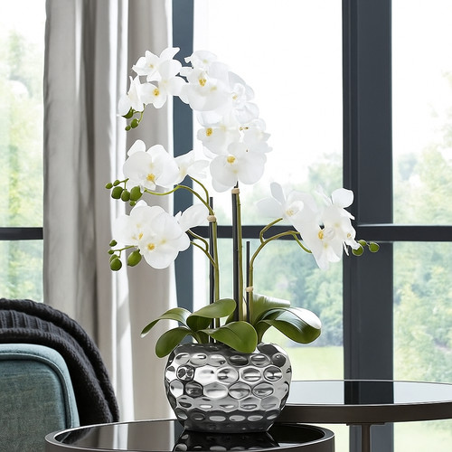 Creativ green potted - creativ,