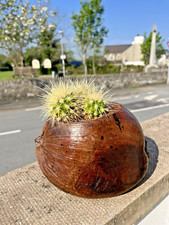UNUSUAL VINTAGE TURNED COCONUT SHELL HUSK BOWL CANDLE KEY PLANT POT HOLDER ?