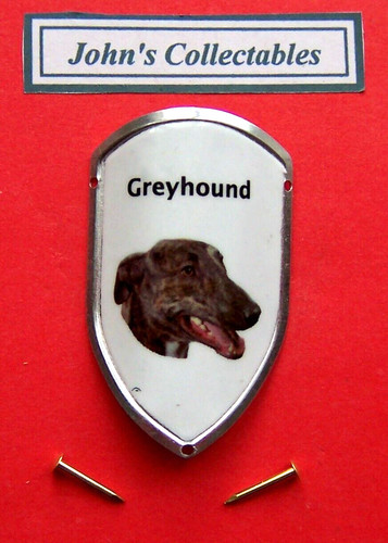Greyhound walking - walking, /