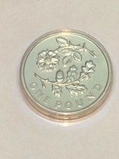 2013 £1 Old Round One Pound