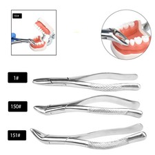 Adult Tooth Extracting Forceps