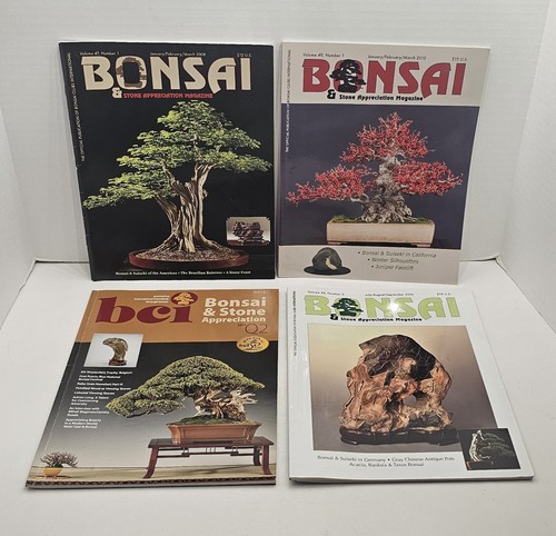 Bonsai stone appreciation - bonsai,
