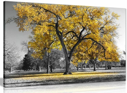 Large tree yellow - yellow, leaves