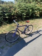 Raleigh Pioneer Trail