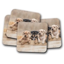 4 Set - American Staffy