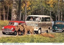 us8262 lions of longleat warminster wiltshire uk volkswagen beetle  mini cooper