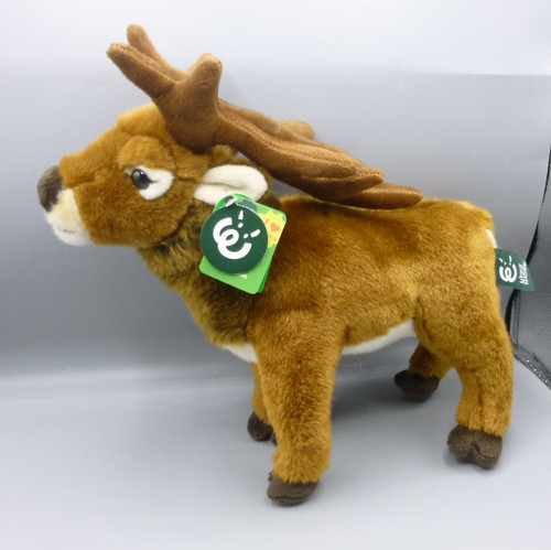 New living nature red - red, deer