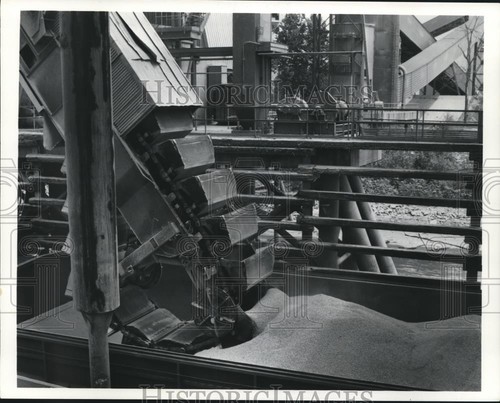 Press photo giant - photo,