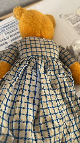 Brown teddy bear plush with - teddy,