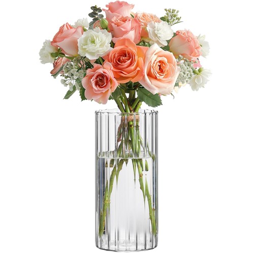 Comsaf glass cylinder - comsaf, vase
