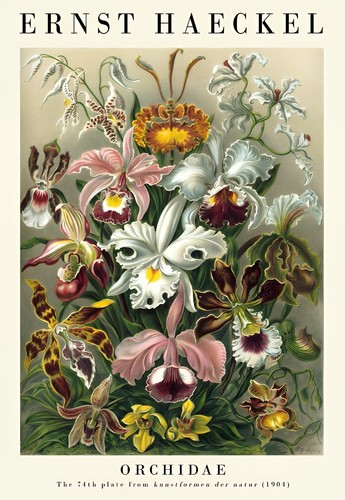 The nature collection set - the,